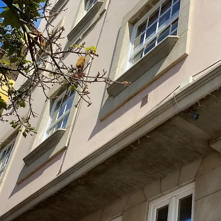 Piso Auditorio Centro *