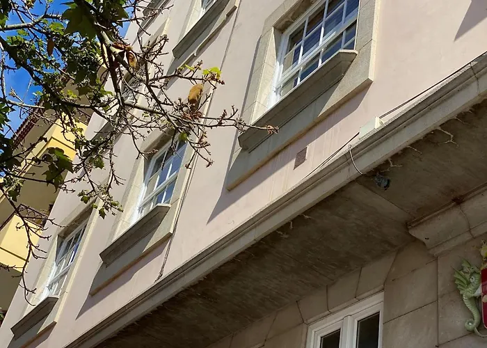 Piso Auditorio Centro *